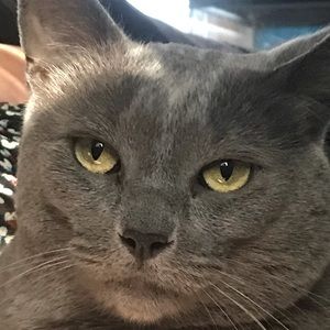 Meet your Posher, Christina